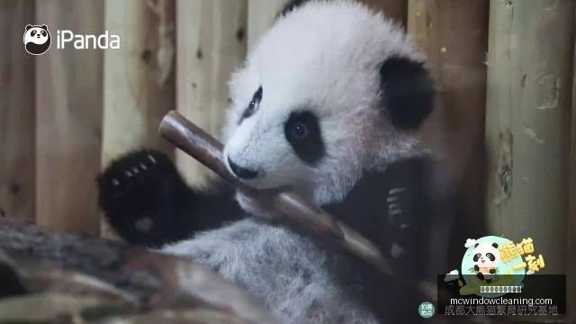 新任力保阵,容稳定,卡卢马与马,太阳城娱乐官方网站官网,太阳城娱乐官方网站App,太阳城娱乐官方网站下载,太阳城娱乐官方网站登录,太阳城娱乐官方网站平台